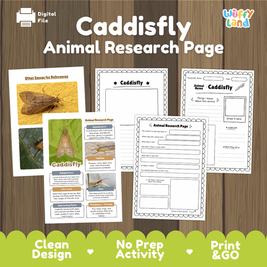 Clean design no prep print and go caddisfly aquatic insect clean water bioindicator animal life cycle study printable PDF pack for elementary science