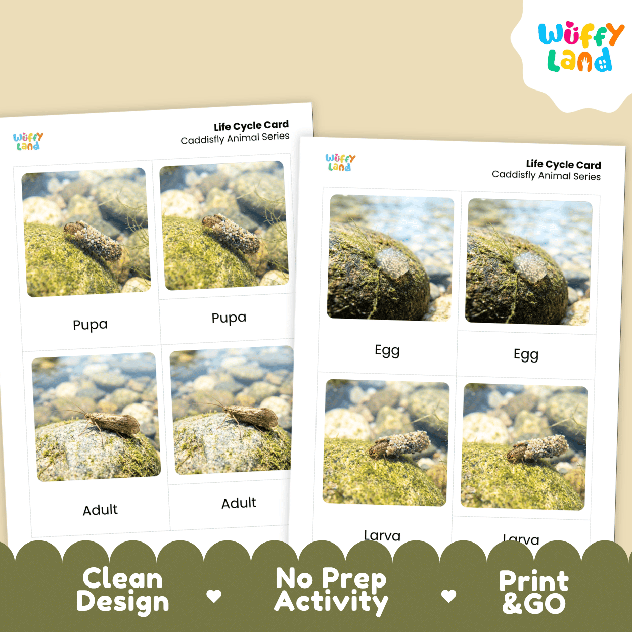 Caddisfly Life Cycle Flashcards | Montessori 3 Part Cards Science Activity