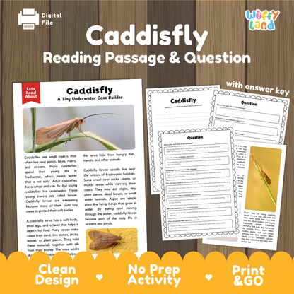 Digital reading passage and worksheet bundle titled 'Caddisfly Reading Passage & Question' shown on a wood background. The layout includes a printed passage page, several worksheet pages, an answer key page, and promotional text at the bottom.