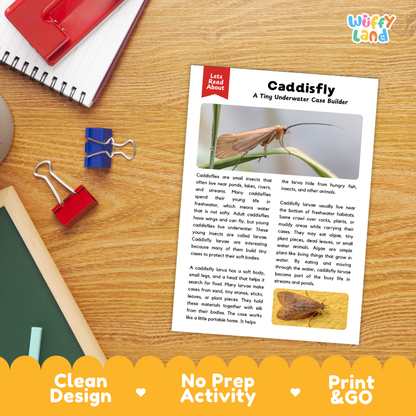 A printed educational activity sheet titled 'Caddisfly: A Tiny Underwater Case Builder' laid on a wooden desk, with a red notebook, blue binder clips, and a red notebook nearby. The sheet includes a photo of a caddisfly and descriptive text, with promotional text along the bottom reading 'Clean Design', 'No Prep Activity', and 'Print & GO'.