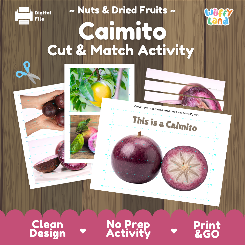 Caimito cut and match activity cover showing printable fine motor puzzle sheets and tropical fruit photographs