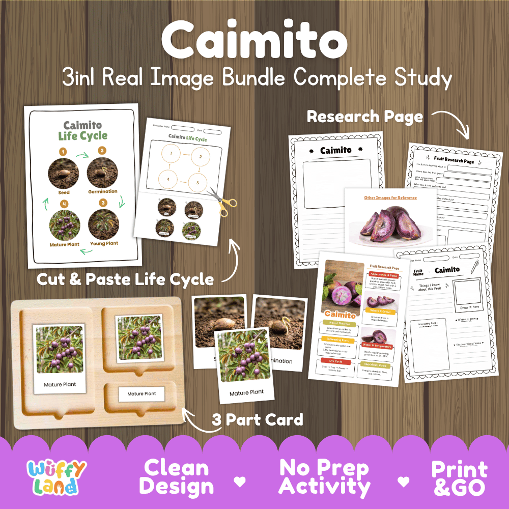 Complete Caimito 3-in-1 real image study bundle featuring cut and paste worksheets, Montessori 3-part cards, and research pages 💜🌱