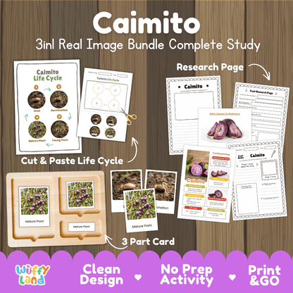 Complete Caimito 3-in-1 real image study bundle featuring cut and paste worksheets, Montessori 3-part cards, and research pages 💜🌱
