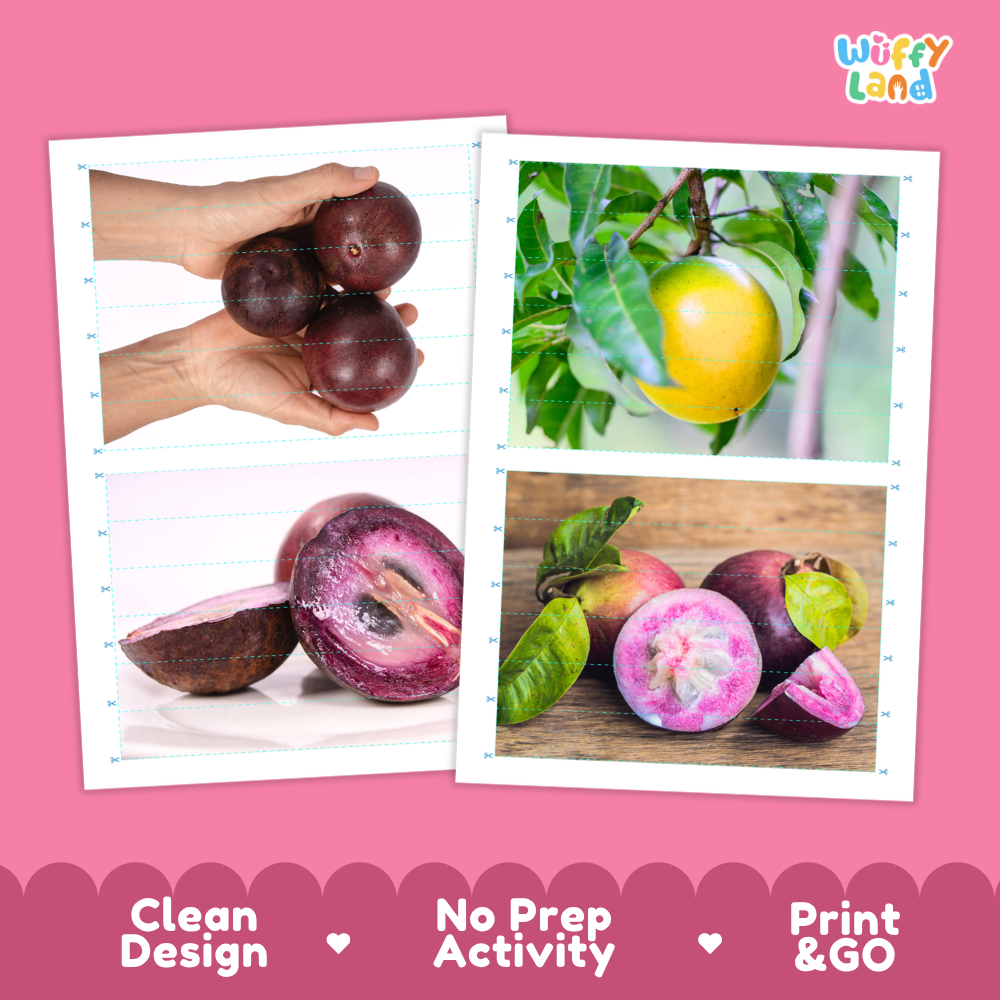 Printable activity sheets featuring photographic caimito puzzle boards and cutting guides