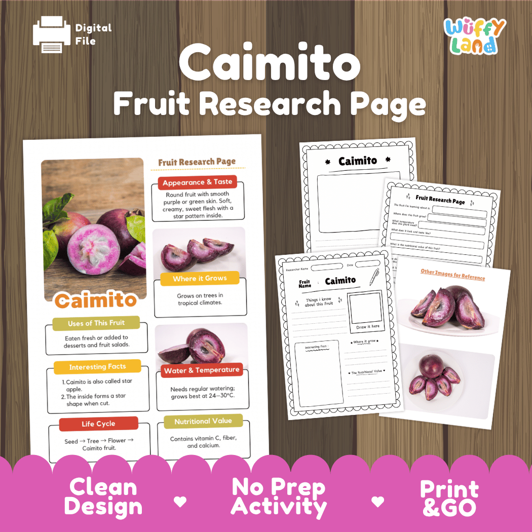 Caimito Fruit Research Pages and Worksheets