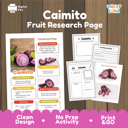 Caimito Fruit Research Pages and Worksheets