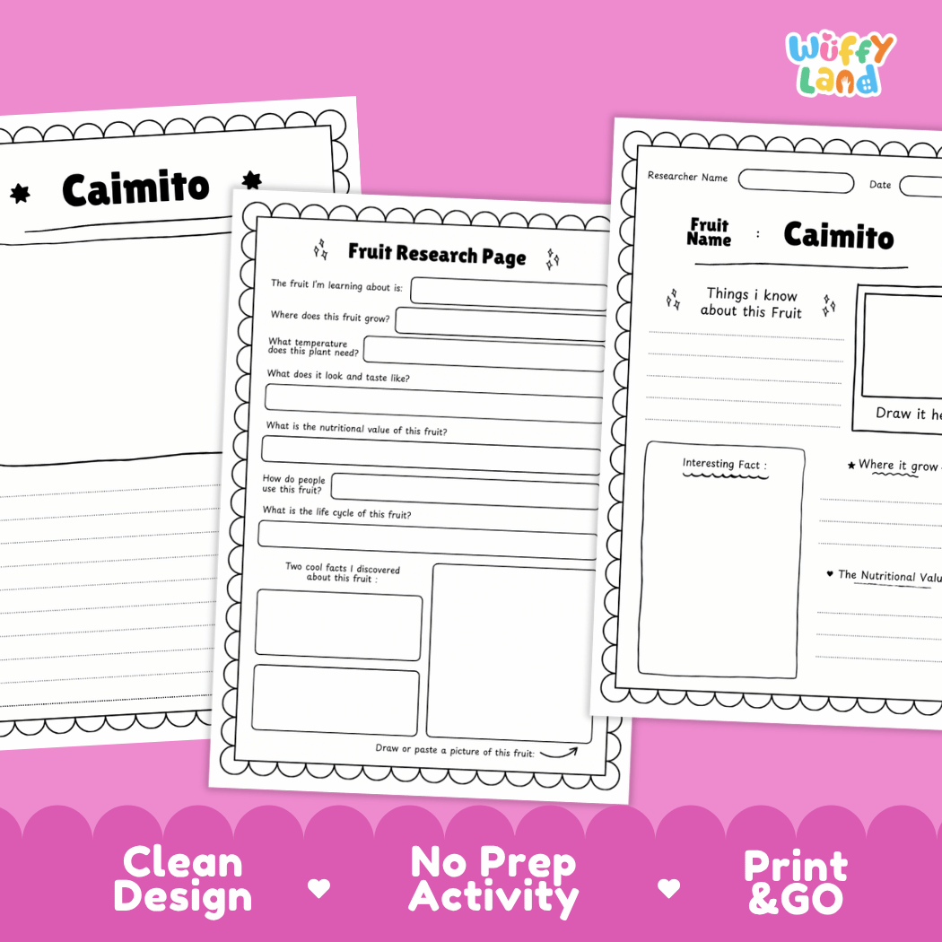 Caimito Fruit Research Pages and Worksheets