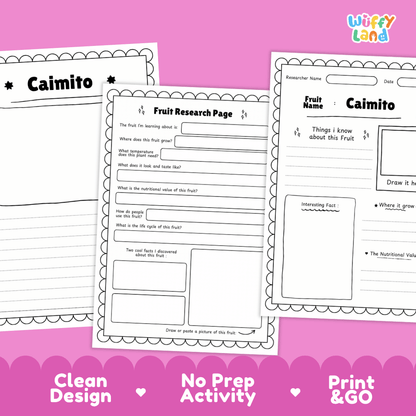 Caimito Fruit Research Pages and Worksheets