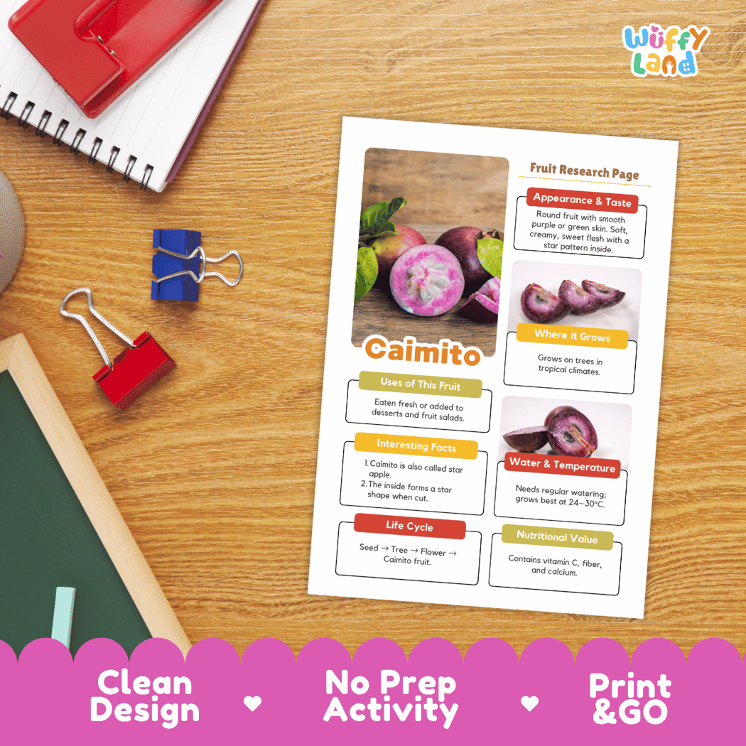 Caimito Fruit Research Pages and Worksheets