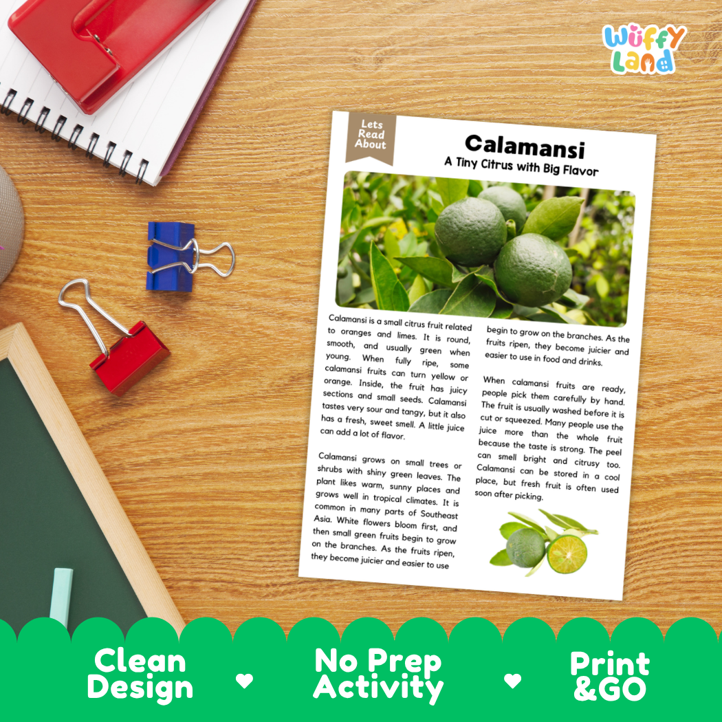 Student reading comprehension worksheet with short-answer questions and lined sections about calamansi citrus fruit