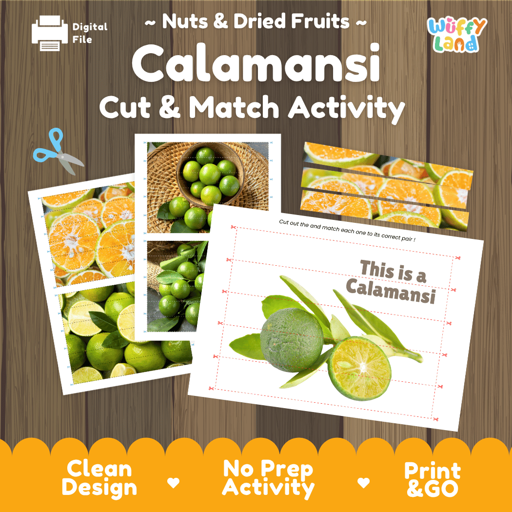 Calamansi Cut and Match Activity Worksheets | Nuts and Dried Fruits Puzzle Printables