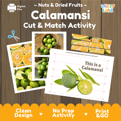 Calamansi Cut and Match Activity Worksheets | Nuts and Dried Fruits Puzzle Printables