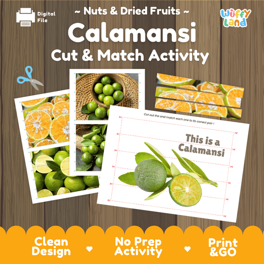 Calamansi Cut and Match Activity Worksheets | Nuts and Dried Fruits Puzzle Printables
