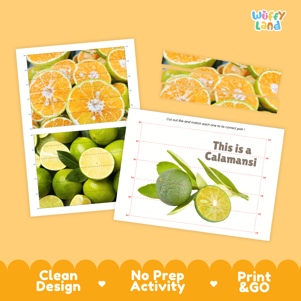 Calamansi Cut and Match Activity Worksheets | Nuts and Dried Fruits Puzzle Printables