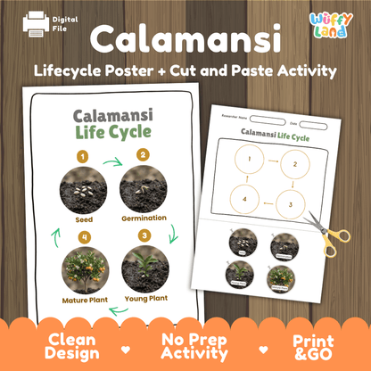 Calamansi Life Cycle Poster and Cut and Paste Worksheet Activity