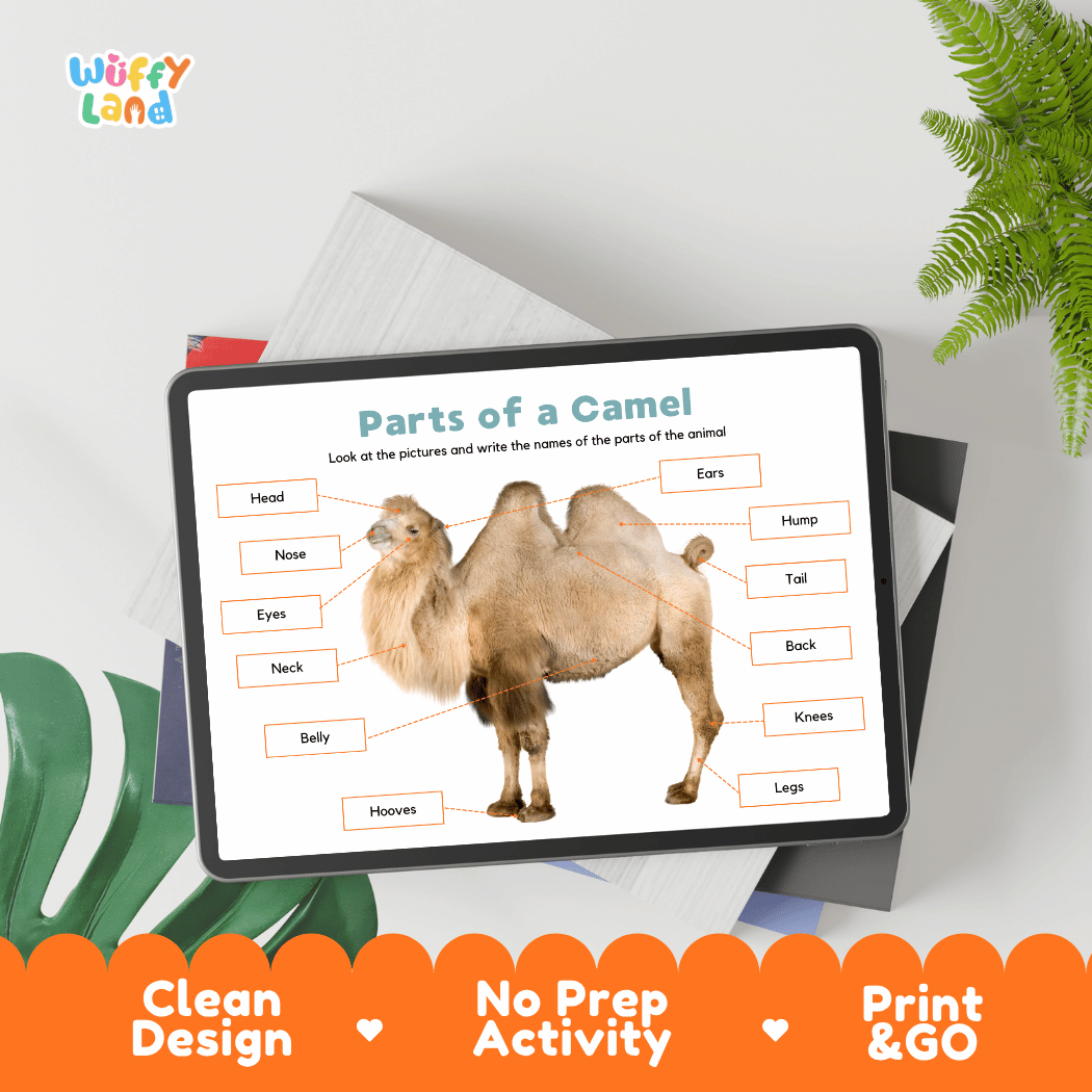 Hands-on camel anatomy cut and paste worksheet with printable word tags, callout pointer lines, and scissors graphic