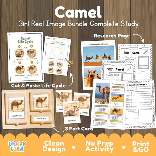 Camel 3-in-1 real image bundle complete study cover showing cut and paste life cycle, 3 part cards, and research pages