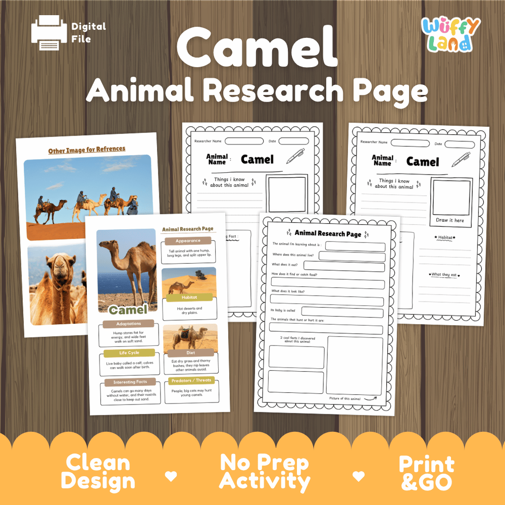Camel Animal Research Page Graphic Organizers and Worksheets