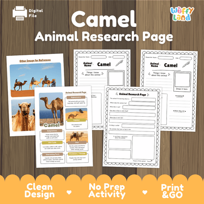 Camel Animal Research Page Graphic Organizers and Worksheets
