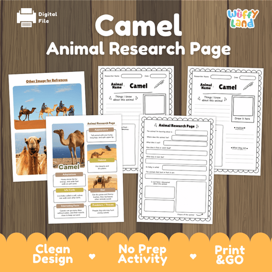 Clean design no prep print and go camel desert mammal animal life cycle study printable PDF pack for elementary science