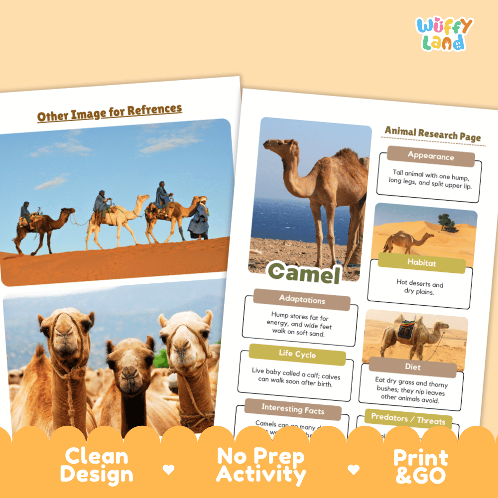 Camel Animal Research Page Graphic Organizers and Worksheets