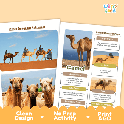 Camel Animal Research Page Graphic Organizers and Worksheets