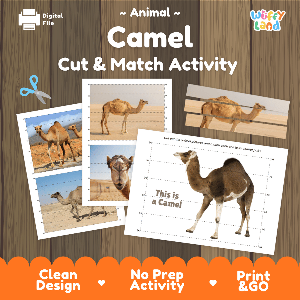 Camel Cut and Match Activity Worksheets | Animal Puzzle Printables