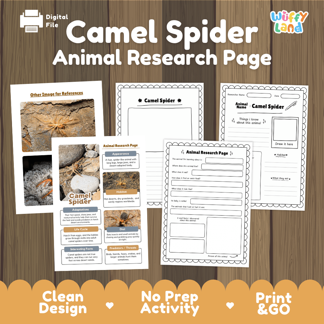 Camel Spider Animal Research Page and Worksheets