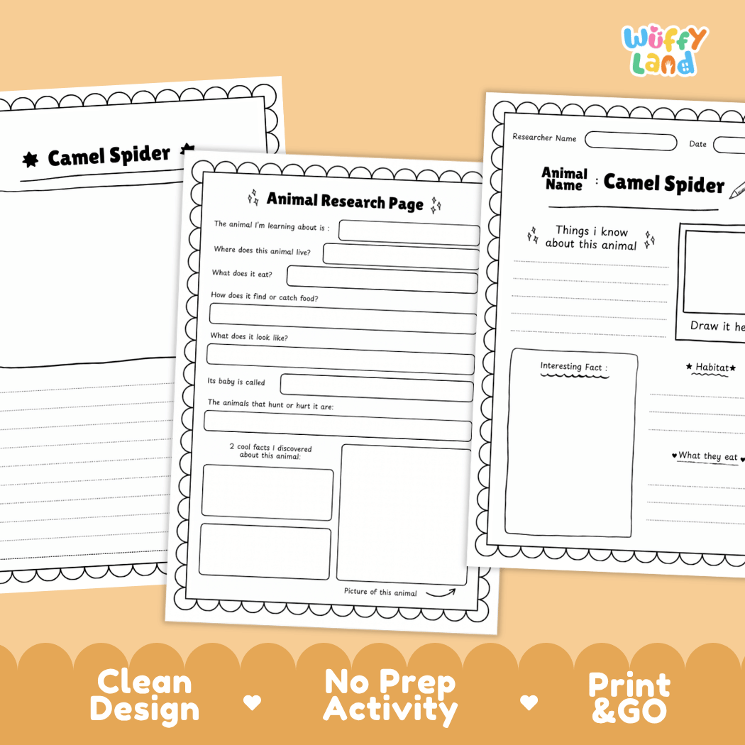 Camel Spider Animal Research Page and Worksheets
