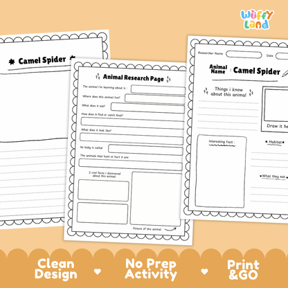 Camel Spider Animal Research Page and Worksheets