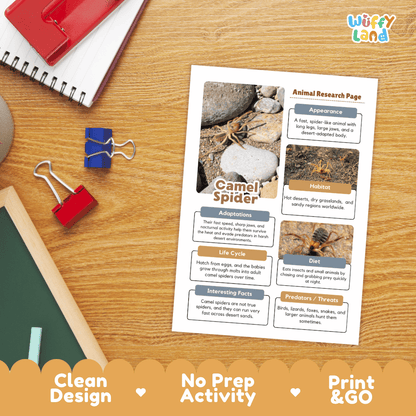 Camel Spider Animal Research Page and Worksheets