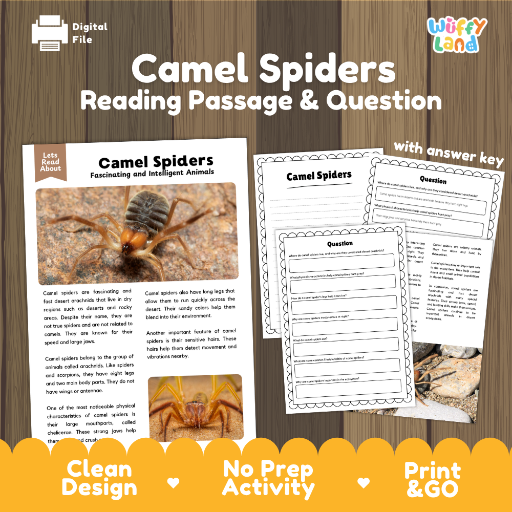 Digital reading activity bundle for 'Camel Spiders' featuring a reading passage, comprehension questions, and an answer key, presented on a wood-grain background with promotional text banners.