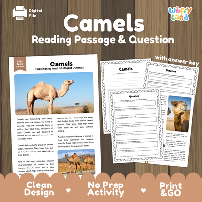 Camels Reading Passage and Comprehension Questions Worksheets with Answer Key