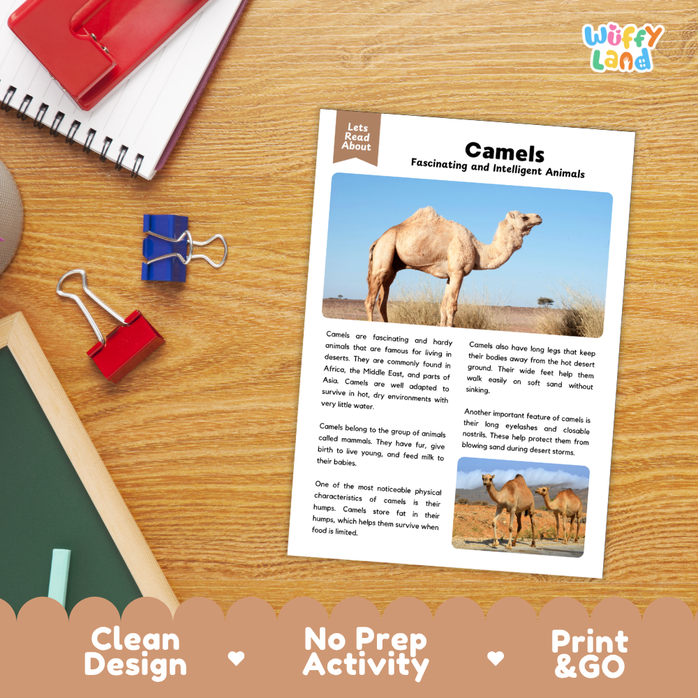 Camels Reading Passage and Comprehension Questions Worksheets with Answer Key