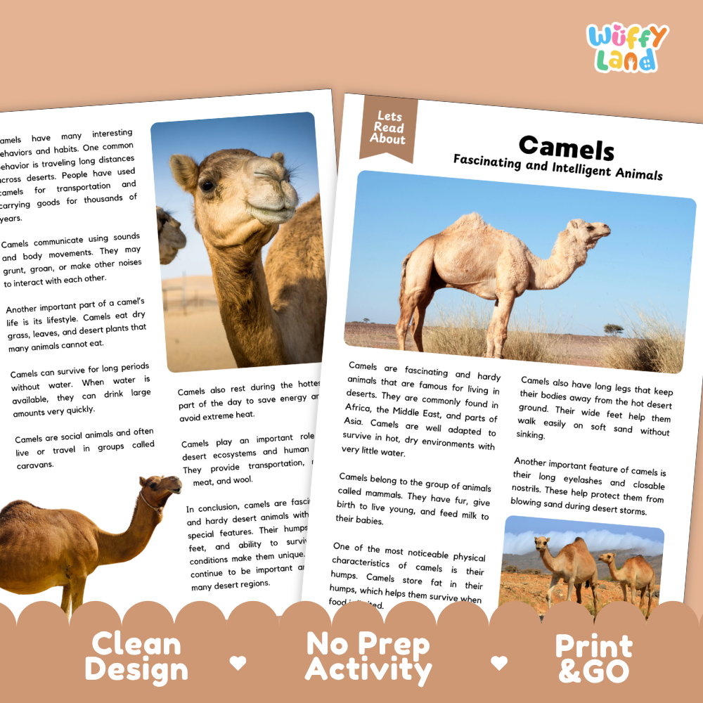 Camels Reading Passage and Comprehension Questions Worksheets with Answer Key