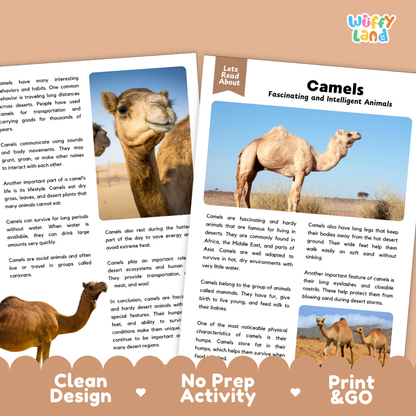 Camels Reading Passage and Comprehension Questions Worksheets with Answer Key