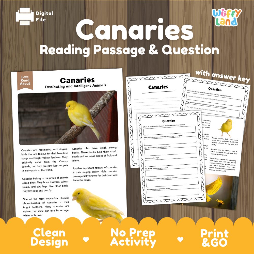 Canaries Reading Passage and Comprehension Questions Worksheets with Answer Key
