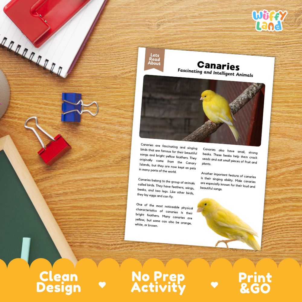 Canaries Reading Passage and Comprehension Questions Worksheets with Answer Key