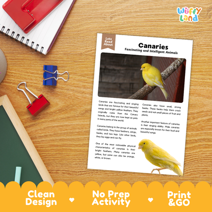 Canaries Reading Passage and Comprehension Questions Worksheets with Answer Key
