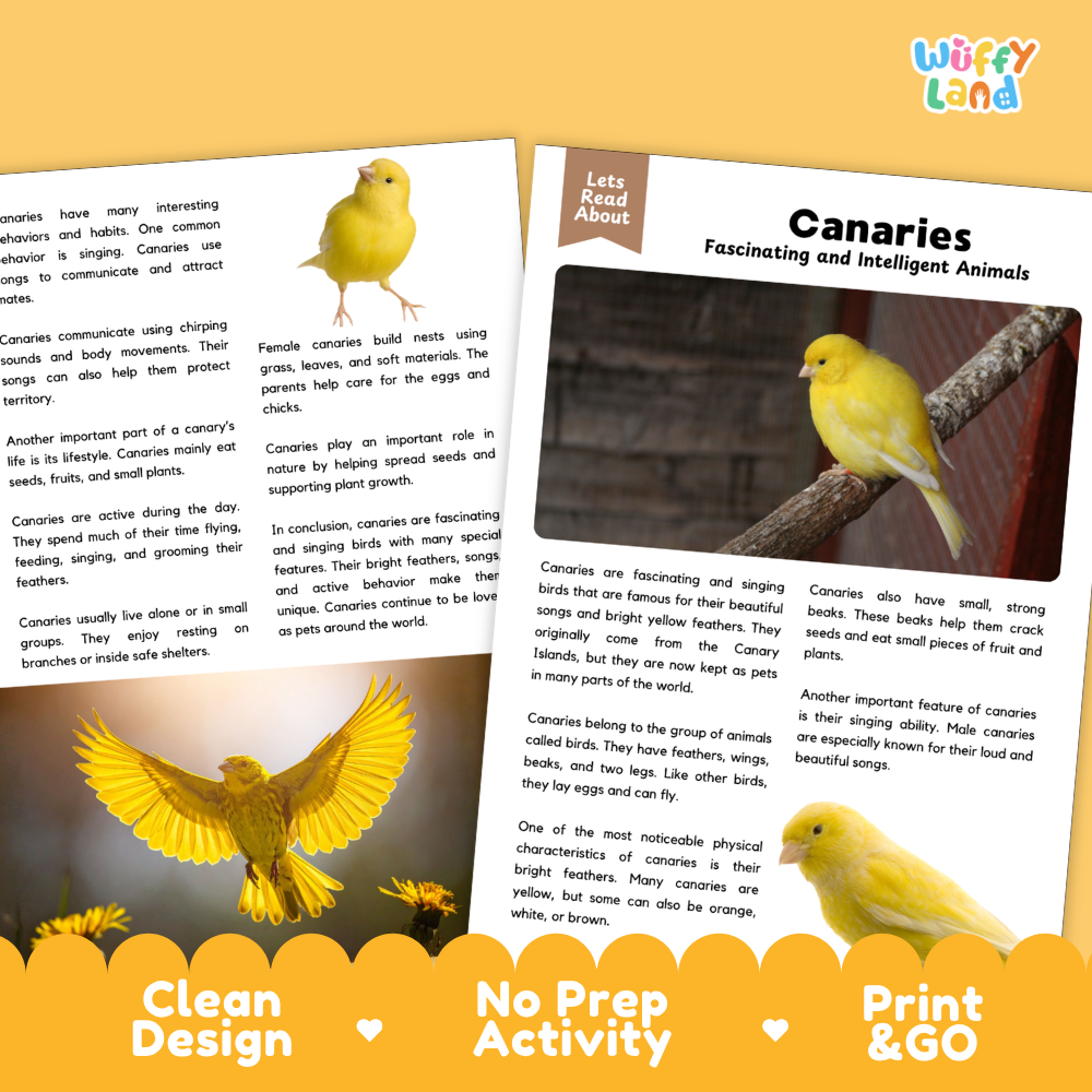 Canaries Reading Passage and Comprehension Questions Worksheets with Answer Key