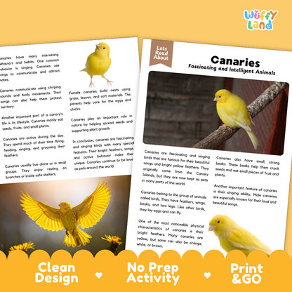 Canaries Reading Passage and Comprehension Questions Worksheets with Answer Key