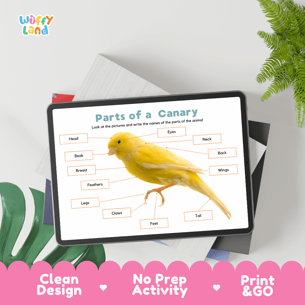 Hands-on canary anatomy cut and paste worksheet with printable word tags, callout pointer lines, and scissors graphic