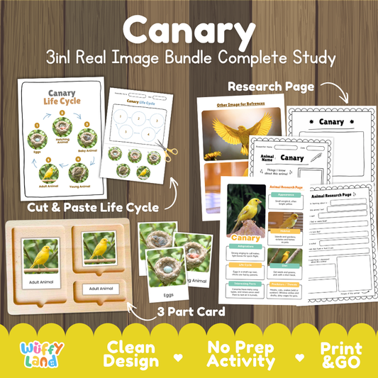 Canary 3-in-1 real image bundle complete study cover showing cut and paste life cycle, 3 part cards, and research pages
