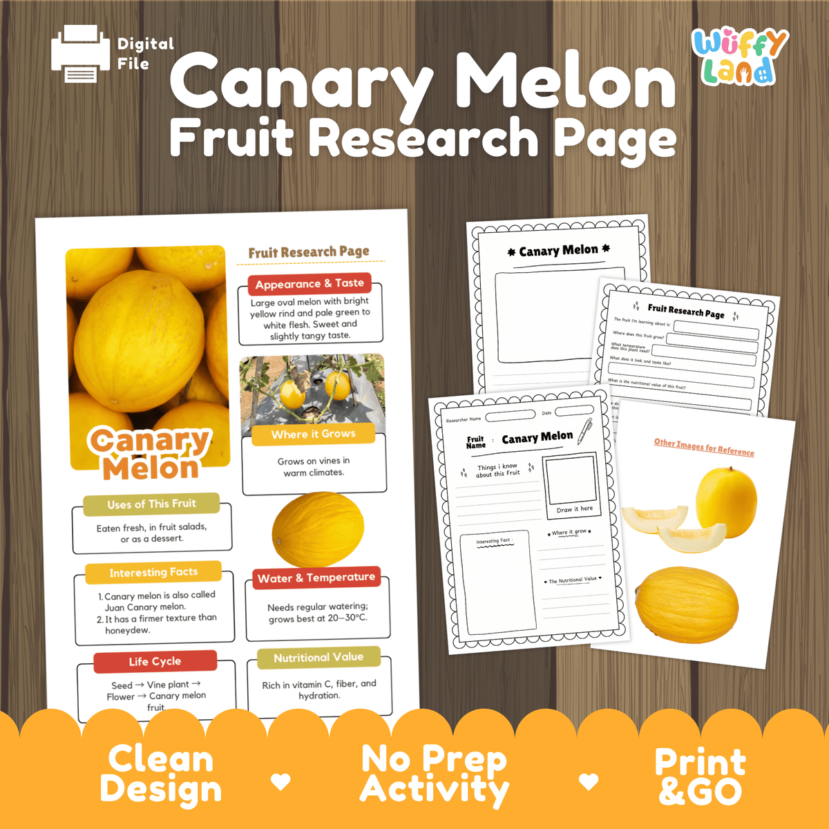 Student fruit research printable fact sheet detailing canary melon appearance, bright yellow rind facts, warm climate, and nutrition with real images 📝🔍