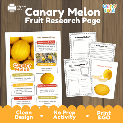 Student fruit research printable fact sheet detailing canary melon appearance, bright yellow rind facts, warm climate, and nutrition with real images 📝🔍
