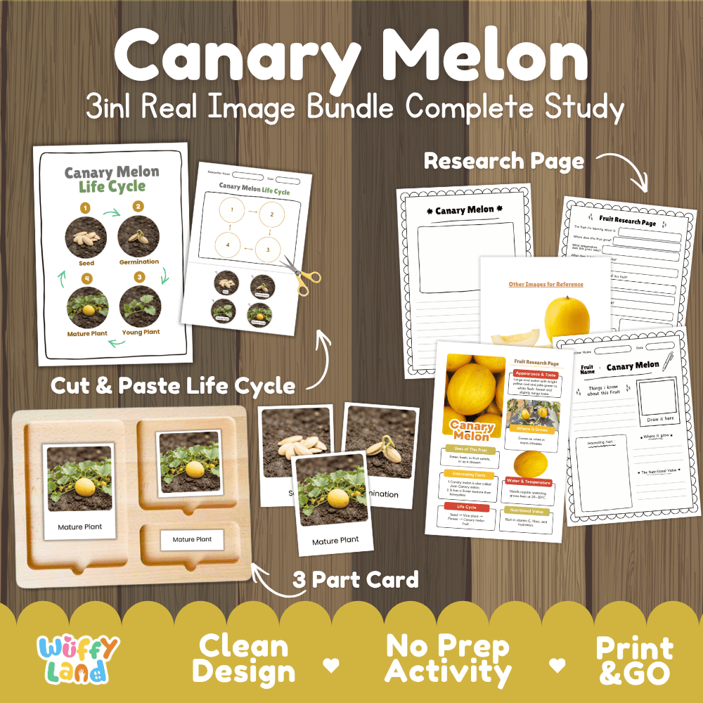 Complete Canary Melon 3-in-1 real image study bundle featuring cut and paste worksheets, Montessori 3-part cards, and research pages 🍈🌱