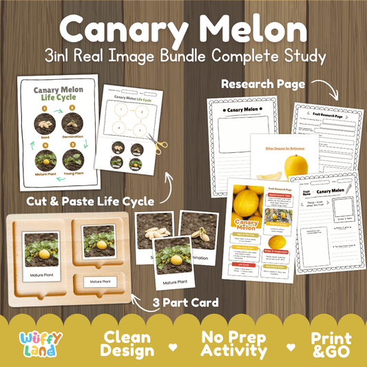 Complete Canary Melon 3-in-1 real image study bundle featuring cut and paste worksheets, Montessori 3-part cards, and research pages 🍈🌱