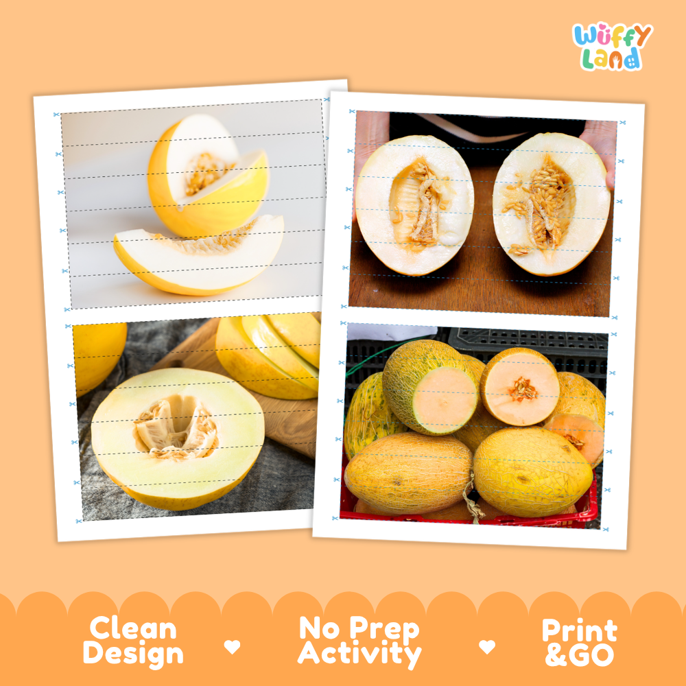 Printable activity sheets featuring photographic canary melon puzzle boards and cutting guides