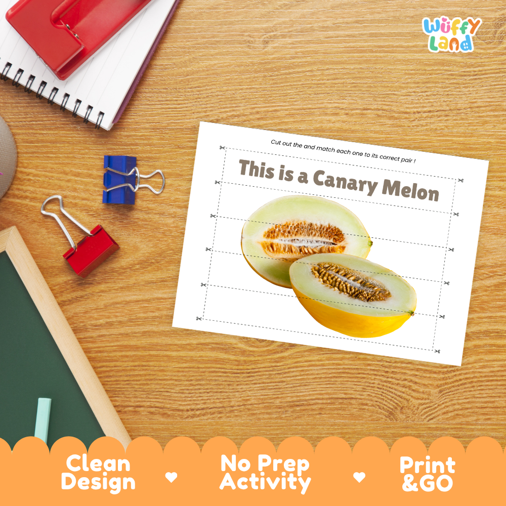 Close-up of puzzle worksheet showing canary melon images and dotted scissor lines