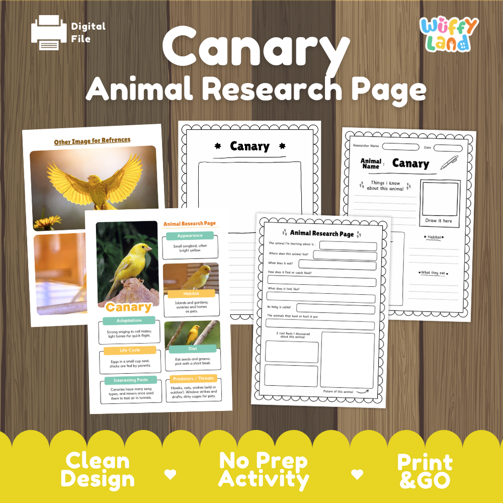 A digital preview of a 'Canary Animal Research Page' activity sheet set by Wiffy Land, displayed on a wood-grain background with a yellow banner at the bottom highlighting key features like 'Clean Design' and 'Print & GO'.
